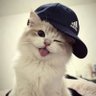 iamaczyyyy.'s profile picture