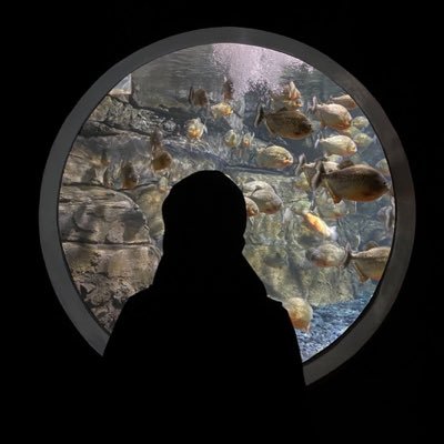 lovanillaz's profile picture