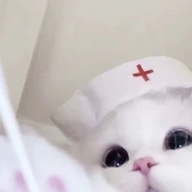 🫧♡ 𝑷𝒖𝒅𝒅𝒊𝒏𝒈 𝒙 𝑫𝒆𝒔𝒕𝒊𝒏𝒚 🍮's profile picture