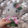 ソーレ's profile picture