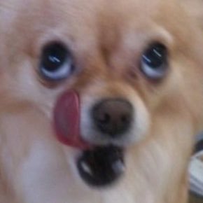 miz_private's profile picture