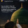 Profilbild von sayed shabbirHussain