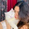 Фото профиля Puppy & Kitty😻🐕