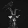 Фото профиля Nemé🐐