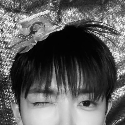 hongj1998ng's profile picture