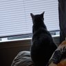 Harold's profile picture