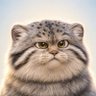 Фото профиля CuriosityCat2012