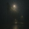 plongvp3h's profile picture