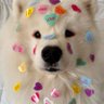 Profilbild von apr.