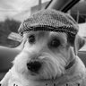 Profilbild von .