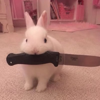 Spiiiiicy脆脆's profile picture