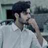Syed Mehdi Hassan profil fotoğrafı