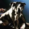 Shannon's profile picture