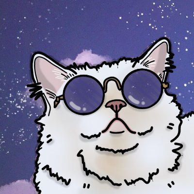 SpaceCatMemes's profile picture