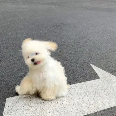 gg's profile picture