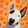 ๋ฏธ๋์ฐก's profile picture