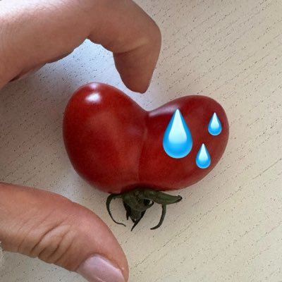 토마's profile picture