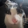Snoopy 🍉 | Blair 🕊️🔥's profile picture