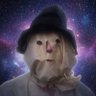 Harry Wildfire's profile picture