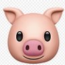 Salvador Castillo's profile picture