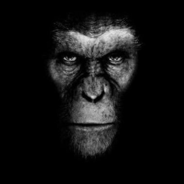 Doug_Doug75's profile picture