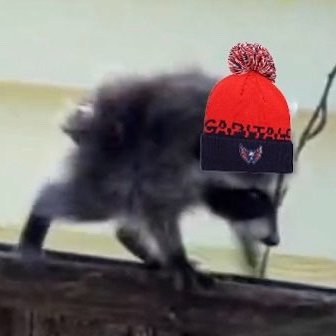 capsf1sh's profile picture