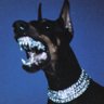 Yicioo's profile picture