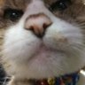 mar-robert's profile picture