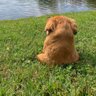 Tilly's profile picture