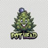 POT H3AD profil fotoğrafı