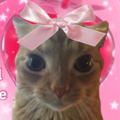 Amani's profile picture