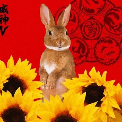 NctShu's profile picture
