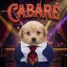 Cãofetão's profile picture