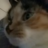 Profilbild von Laeti