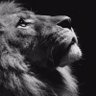 طـَوَفَـــانّ حـٌـــرْ's profile picture