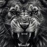 Weezy Joe's profile picture
