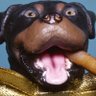doggonebad's profile picture