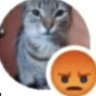 Gato enojao (𝐆𝐞𝐭𝐨𝐒𝐚𝐦𝐚) profil fotoğrafı