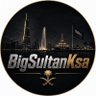 Profilbild von Sultan 💾