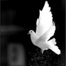 Profilbild von A Man helped By God