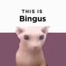Profilbild von Antonnete Bingus: 20yo
