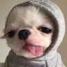 Profilbild von รินลาราอา