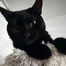 klub's profile picture
