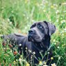 Anya H. profil fotoğrafı