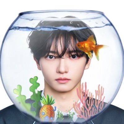 max's profile picture