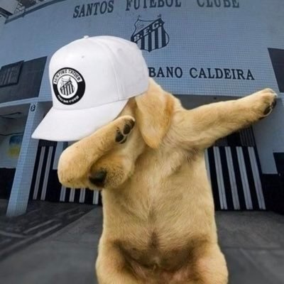 Peixãõ Fodãáâåàäoôõøôhmm's profile picture