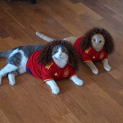 Yoka's profile picture
