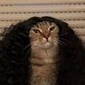 luna's profile picture