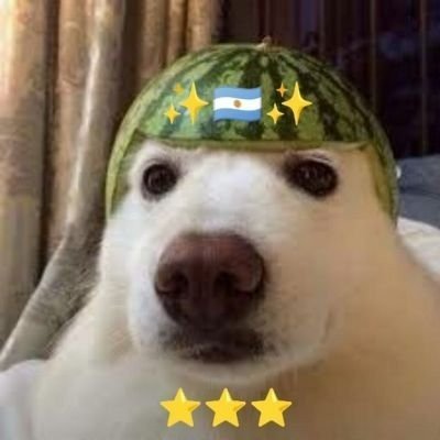 Baobab's profile picture