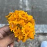 Фото профиля merecumbe